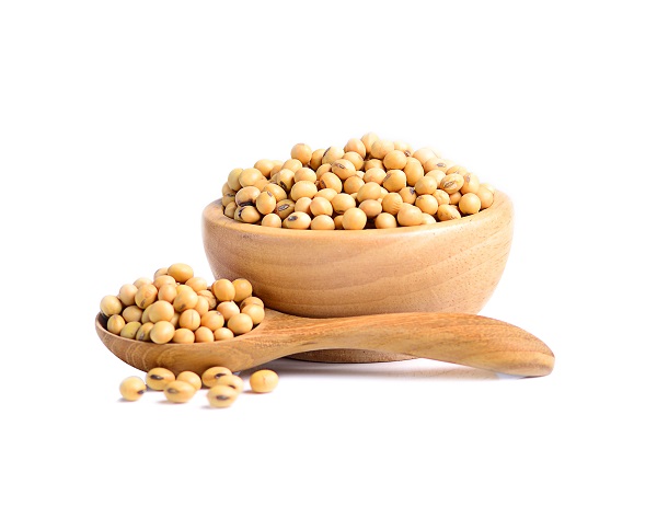 人體最佳基礎營養素大豆分離蛋白&大豆卵磷脂